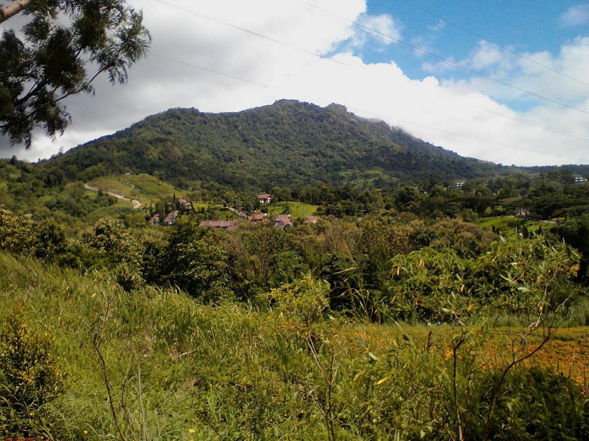 Hotel Red Z Cool Mountain Amphoe Amphoe Khao Kho Exterior foto