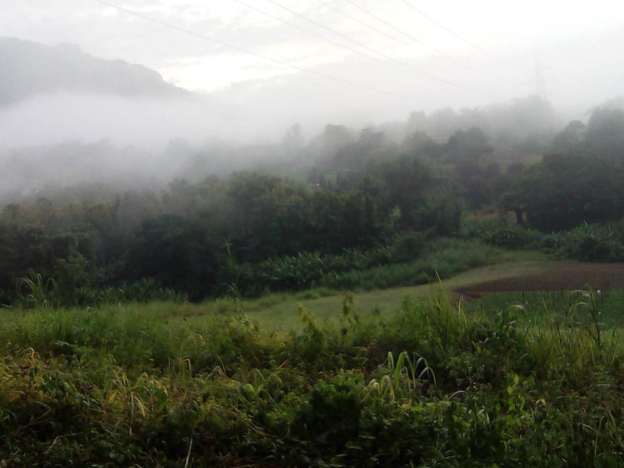 Hotel Red Z Cool Mountain Amphoe Amphoe Khao Kho Exterior foto